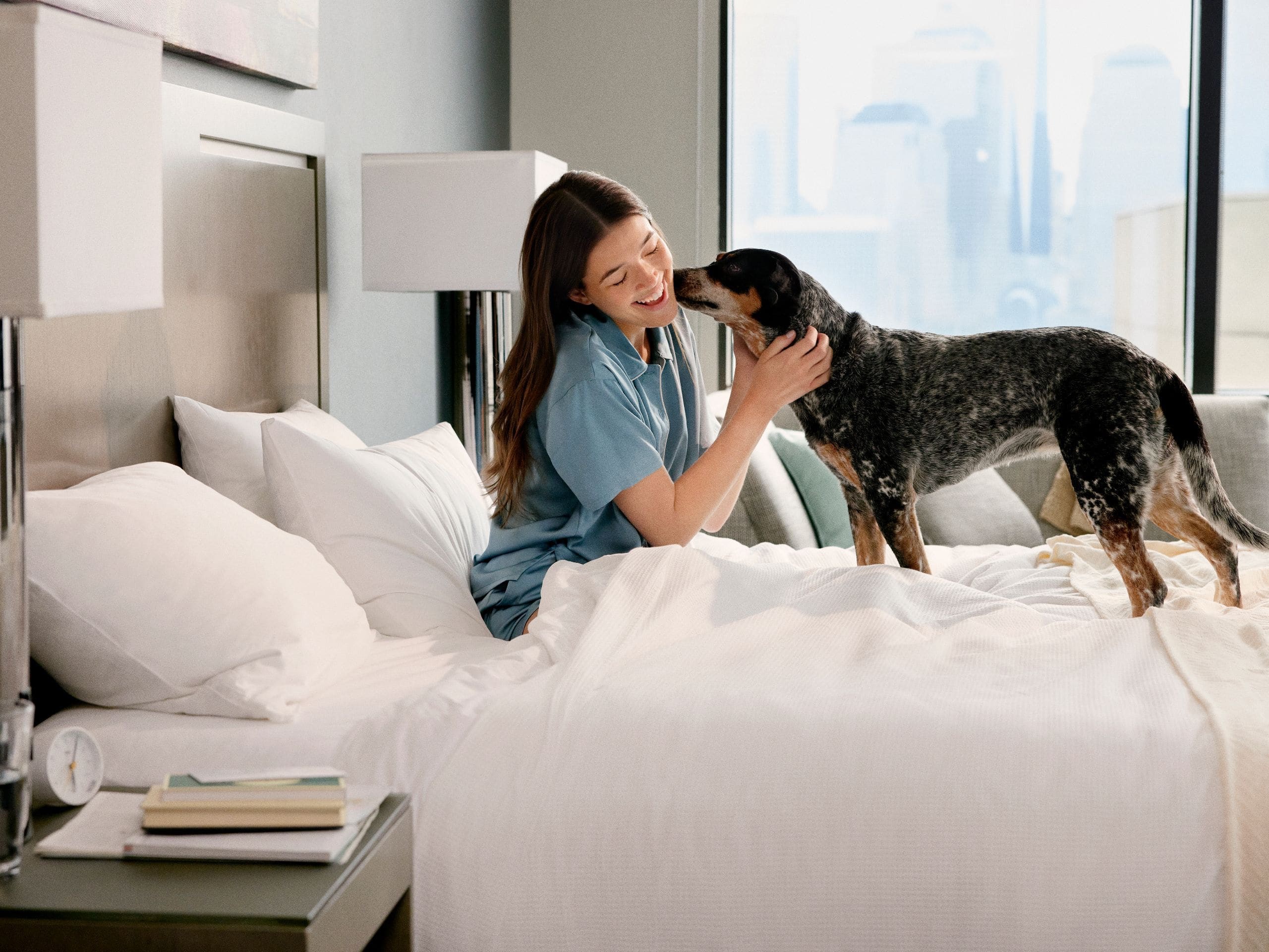 Featured image for “The Most Pet Friendly Hyatt Hotel Brands In 2024”